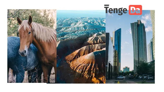 TengeDa: личный кабинет, контакты, процентная ставка