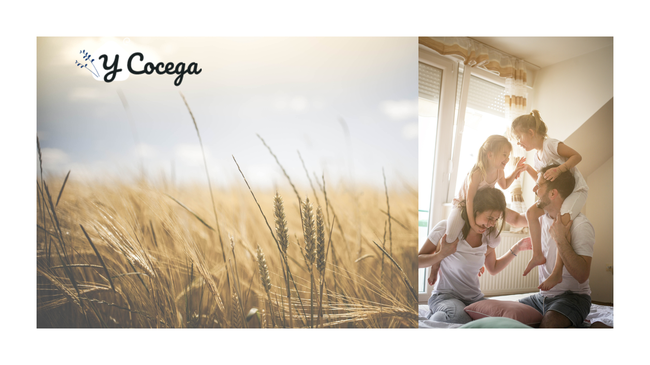 Usoseda - что это за сервис и в чем его задача?